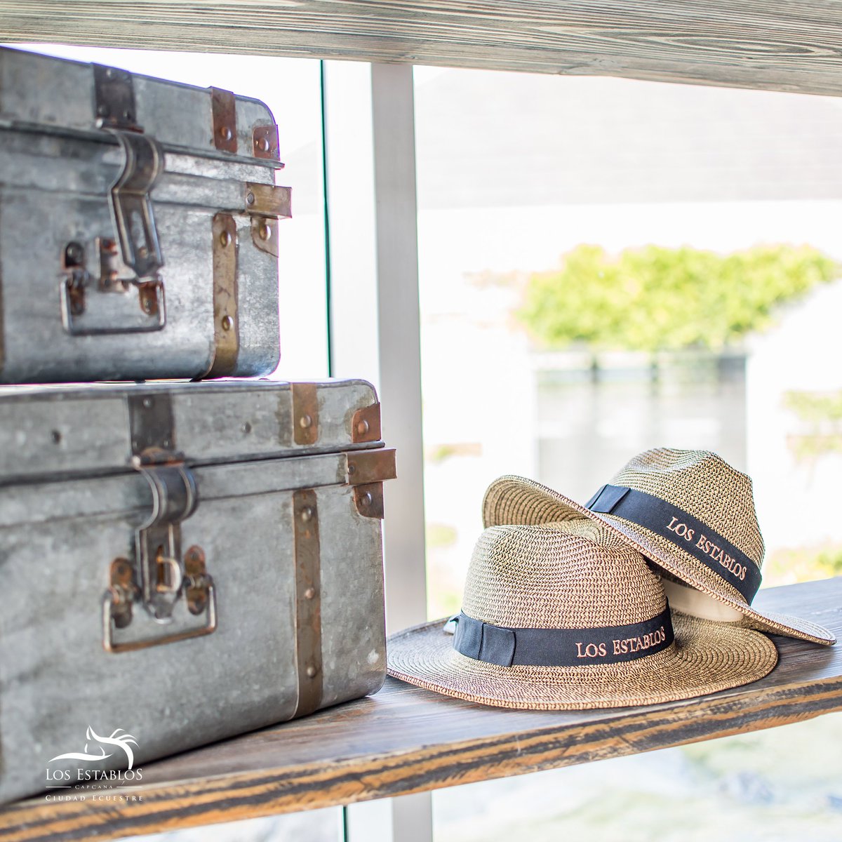 LosEstablosRD's tweet photo. En GallopTack Store encuentras todo lo necesario para tus días de Establos #LosEstablos #ViveLosEstablos #EquineParadise #LosEstablosLifestyle #Capcana #ViveCapCana #Puntacana #RepublicaDominicana https://t.co/fSymqPUhlX