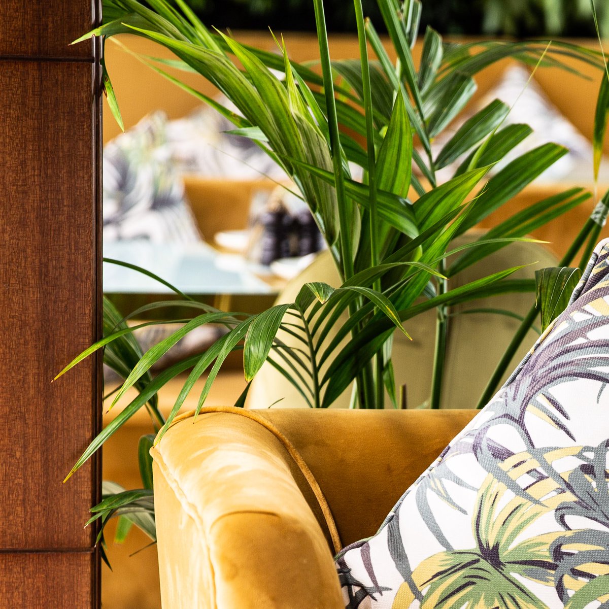 Sunroom_Cafe's tweet photo. we take care of every detail ! 

#sunroom 
#مطاعم_الشرقية
#مطاعم_الدمام_الخبر 
#مطعمي 
#foodie #restaurant
#رمضان https://t.co/ygHS0WGjHy