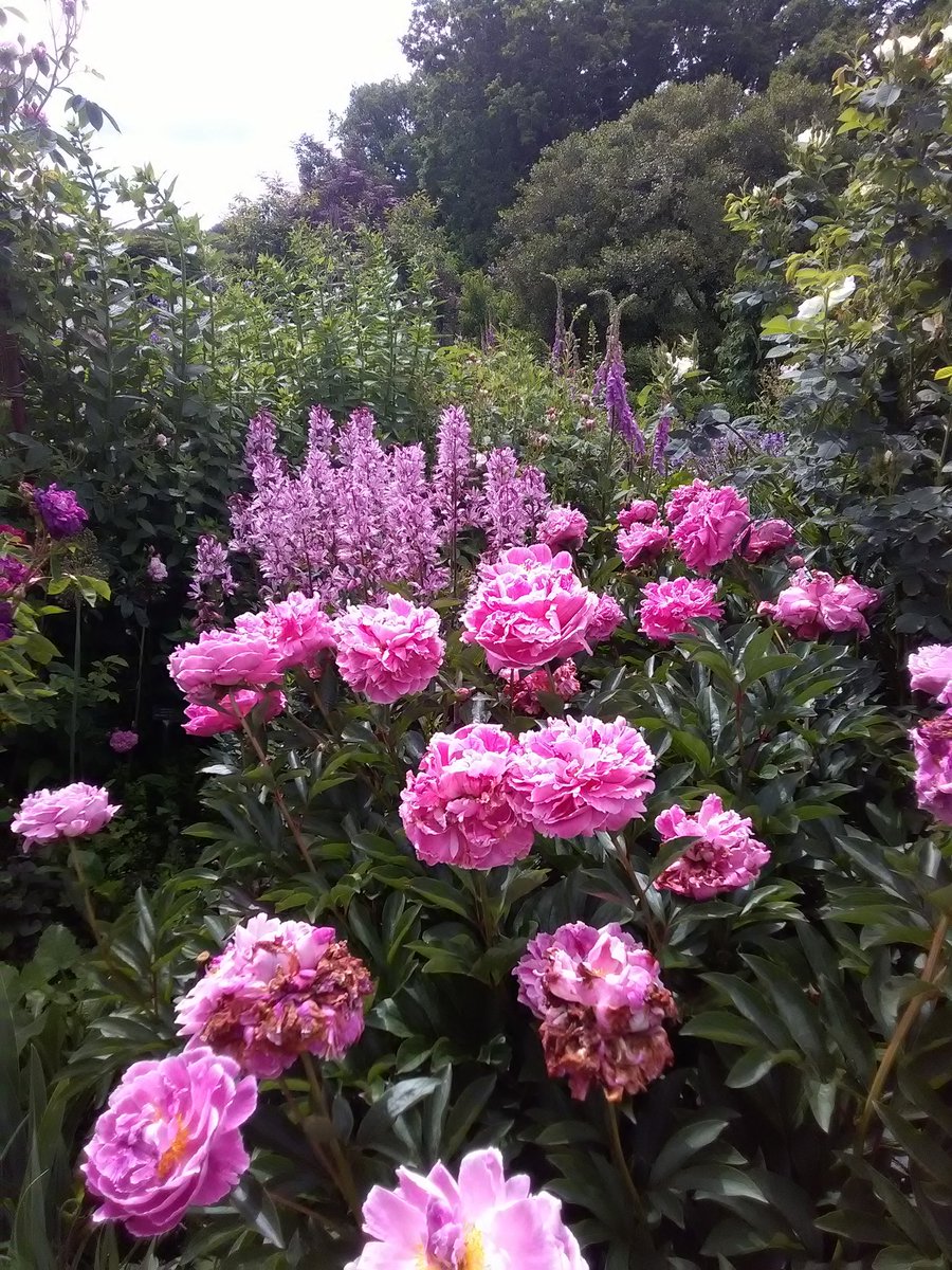 RichardBrownHT's tweet photo. Whilst in Kent (on the drive back from Belgium) I couldn't resist visiting @nationaltrust @SissinghurstNT again. Still the most romantic garden ever with a wonderful back story. A real national treasure. https://t.co/4T3eNGQEdl