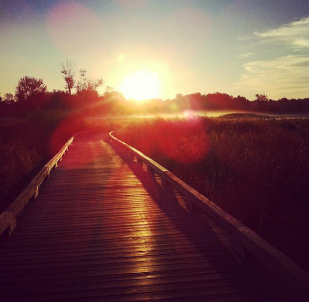 VisitLakeSimcoe's tweet image. One of many #environmentallyfriendly future plans for @GolfCardinal include powering #electric carts. #greengolfleaders ow.ly/ZJDO30jQRjL