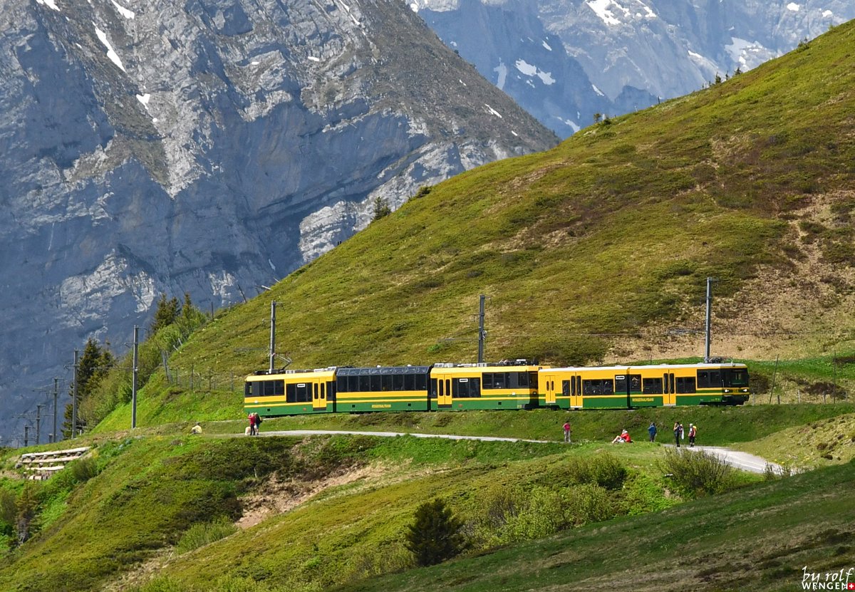 Today was a perfect hiking day. Here some pictures of the hike from Kleine Scheidegg - Biglenalp - Mettlenalp - Staldenfluh and Wengen. #inLOVEwithSWITZERLAND #wengen #switzerland
