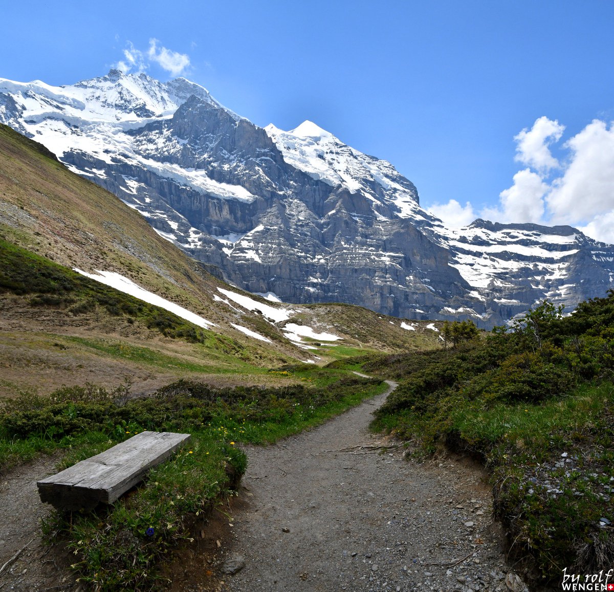 WengenSwiss's tweet photo. Today was a perfect hiking day. Here some pictures of the hike from Kleine Scheidegg - Biglenalp - Mettlenalp - Staldenfluh and Wengen. #inLOVEwithSWITZERLAND #wengen #switzerland https://t.co/fN5v1Be5Hm
