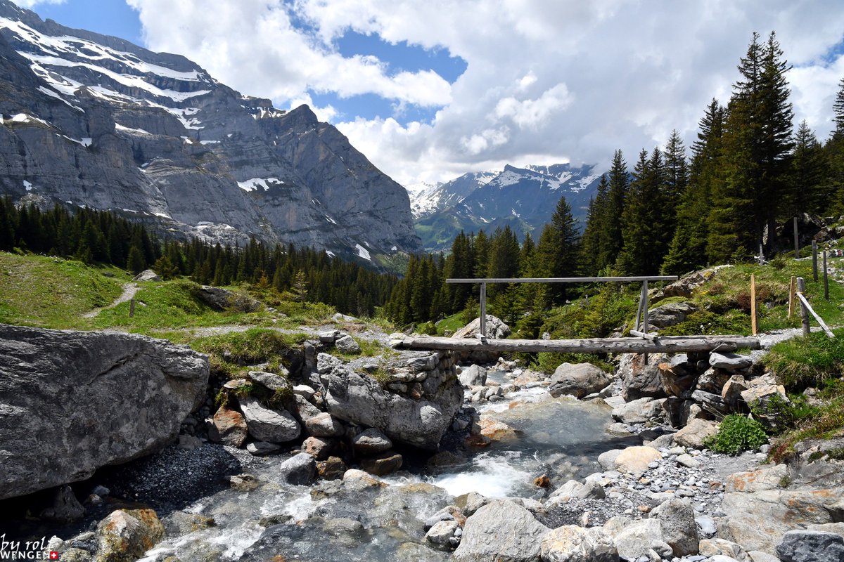 WengenSwiss's tweet photo. Today was a perfect hiking day. Here some pictures of the hike from Kleine Scheidegg - Biglenalp - Mettlenalp - Staldenfluh and Wengen. #inLOVEwithSWITZERLAND #wengen #switzerland https://t.co/fN5v1Be5Hm