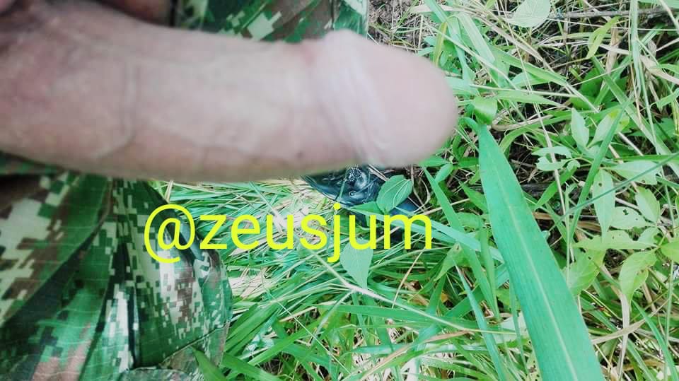 🇻🇪Zeus Militar🇵🇹 tweet media