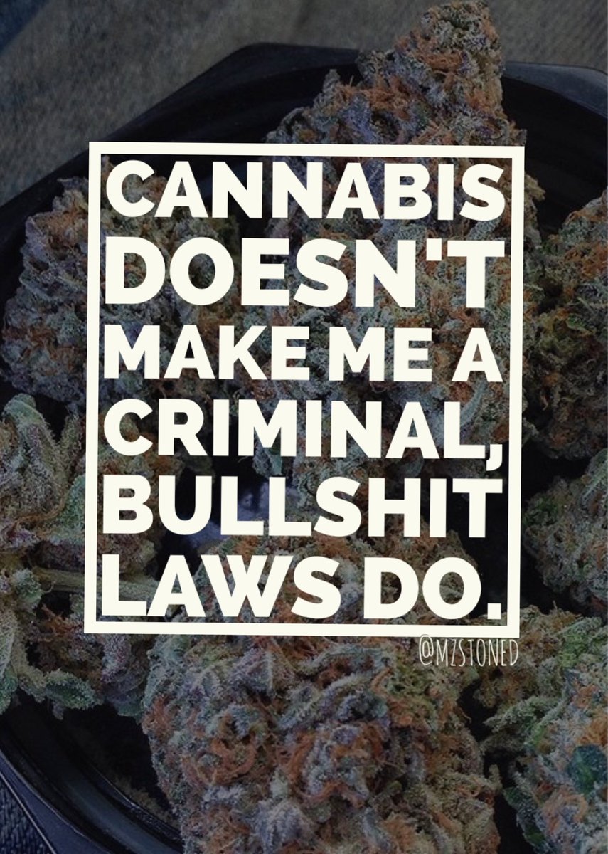 mzstoned's tweet image. 