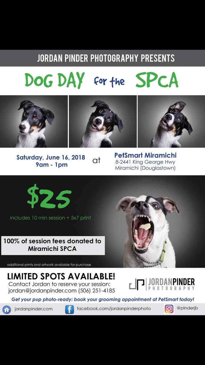PetSmart Miramichi tweet media