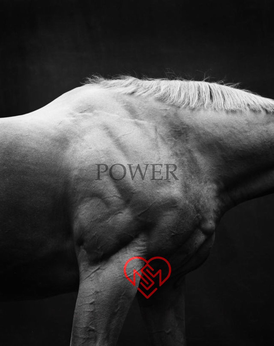 MiraclSolution's tweet image. The sole advantage of power is that you can do more good. #MiracleSolutions