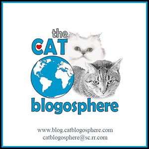 Check out our new look and future plans at blog.catblogosphere.com/friday-6-1-blo…. #CatBlogosphere