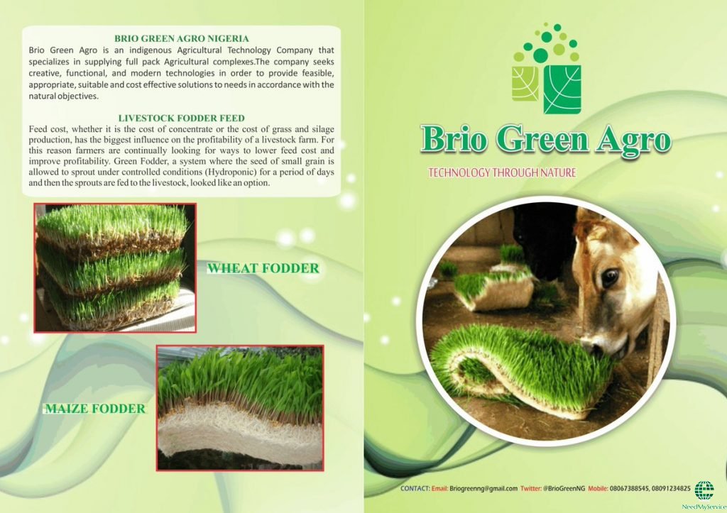 Brio Green Agro

Brio Green Agro (<a href="/briogreenng/">BRIO GREEN NIGERIA</a>) is an indigenous Agricultural Technology Company that
specializes in supplying full pack Agricultural ... More Info - needmyservice.com/brio-green-agr…
#needmyservice