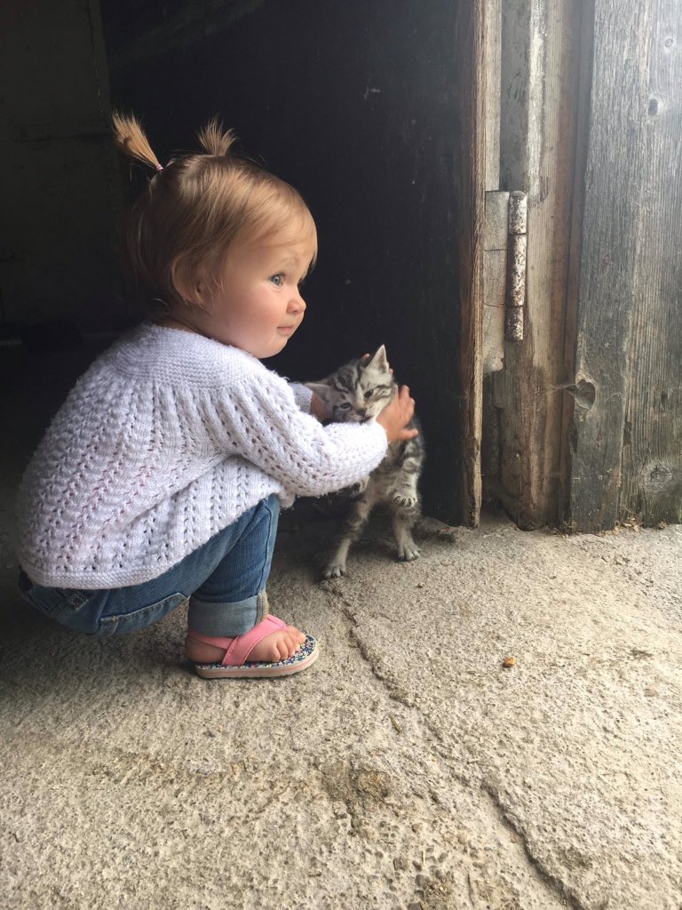 Farm girl in the making she loves the cows and cats not sure the feeling is mutual #farmkid #farm365