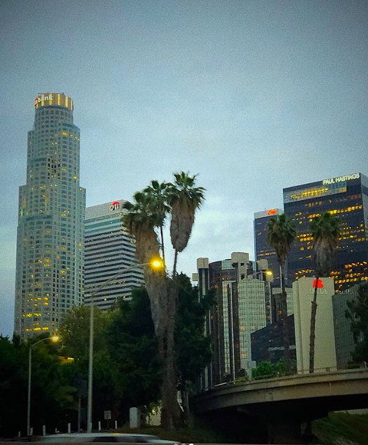 We love exploring. ✨🌴#LA 📸: IG @ richiesandovall