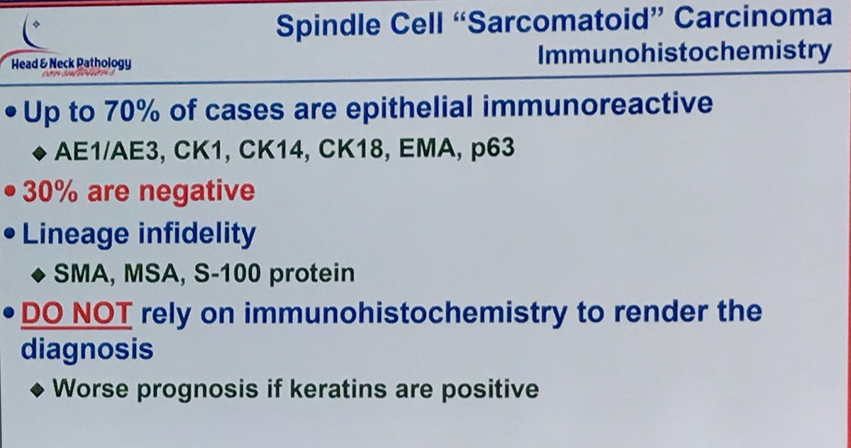 NimaArdakaniMD's tweet photo. Spindle cell malignant neoplasms in larynx are most likely spindle cell SCC, even in the abscence of cytokeratin staining (30% of cases)! Presentation by L Thompson @HeadandNeckPath #IAP AUS https://t.co/9JOfdhrzbG