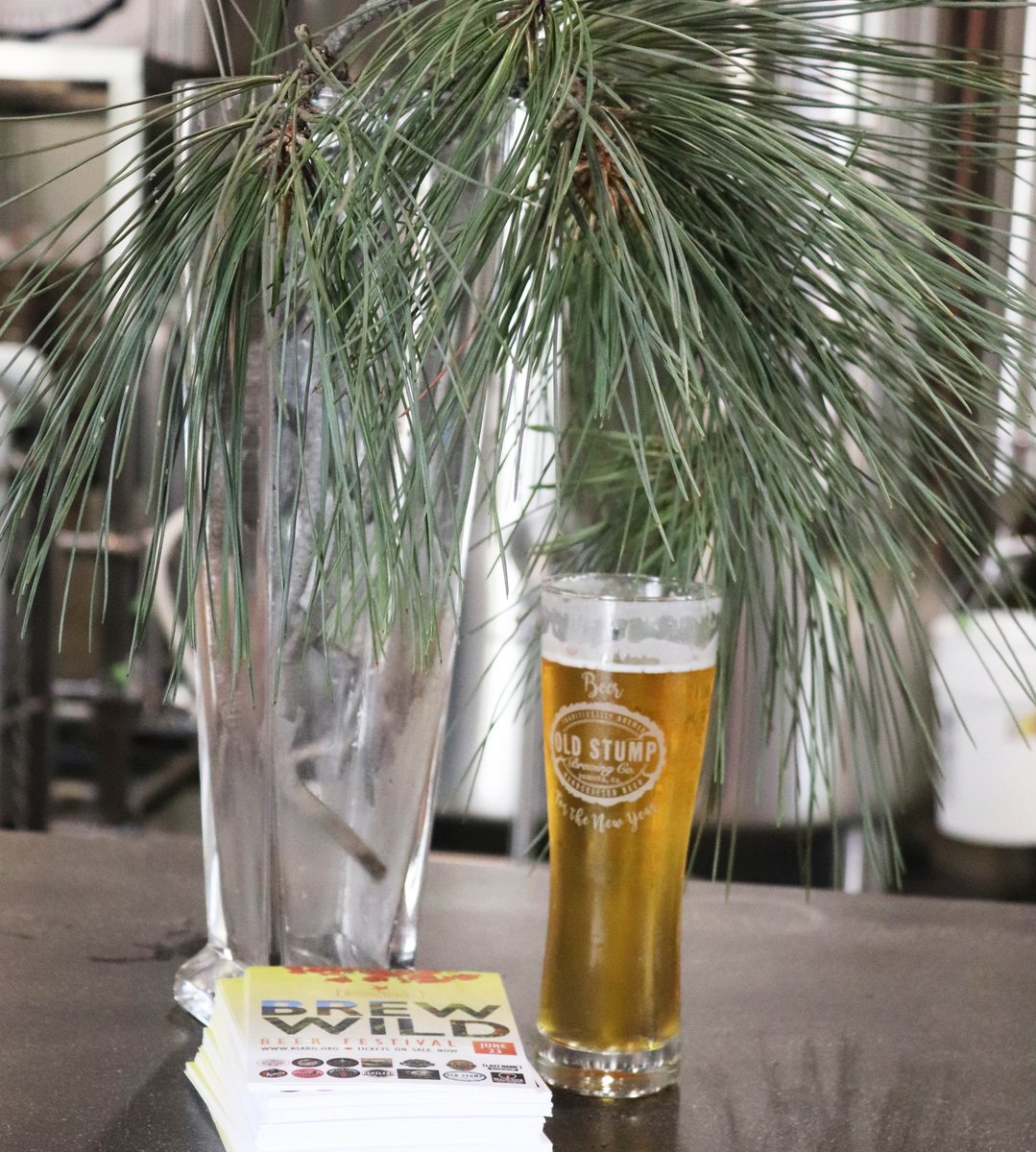 CABotanicGarden's tweet photo. We were lucky enough to taste #OldStumpBrewery's CA native plant beer brewed for our #BrewWildBeerFestival - it was amazing! Make sure you get your tix & try this incredible #TorreyPine #Pilsner & 13 other native plant brews! https://t.co/7MjuTq0N23 #BeerFestival #Claremont https://t.co/5p954jIBFg