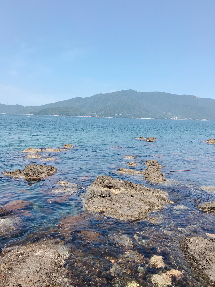 tirotiroppu's tweet photo. #キス釣り
#磯 https://t.co/5jpEFCceTa