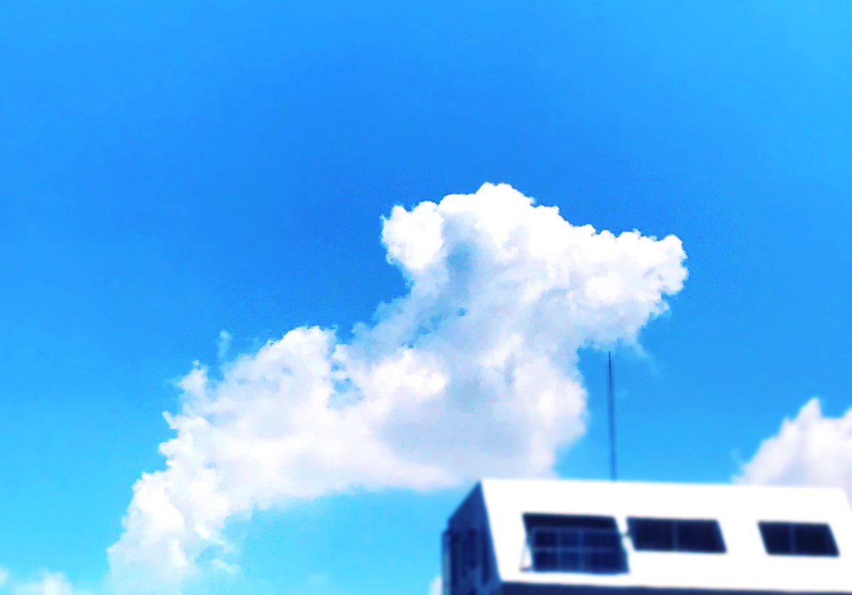 山本雄二 バラモン ユウ Ar Twitter 犬みたいな雲 犬 雲 犬雲