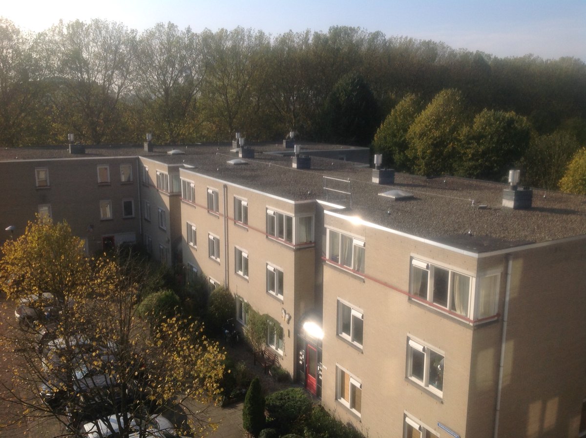 Zoek de 210 verschillen! Lees het interview met Caroline en laat je inspireren hoe jij ook het verschil kan maken in de Utrechtse Energietransitie energie-u.nl/interview-caro… #zon10daagse