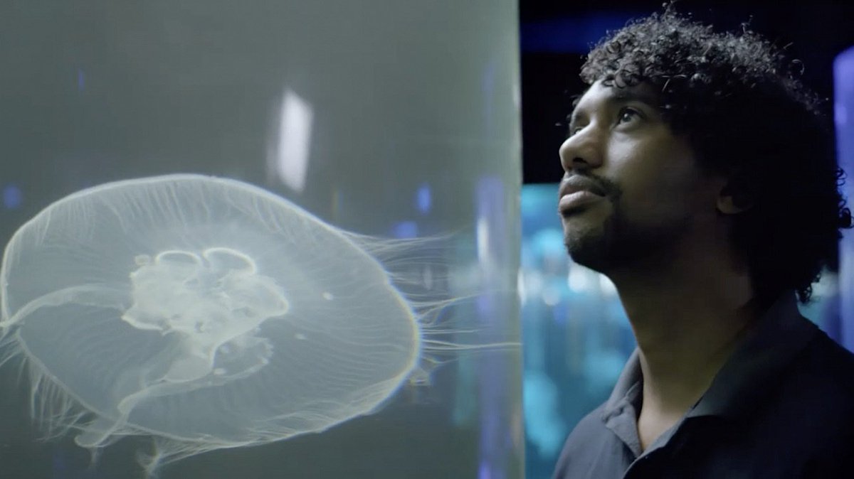 2OceansAquarium's tweet photo. The day has finally arrived! 

Tune in to #MNetWildOnes TODAY at 4pm on @MNet 101 to go behind the scenes of Cape Town's beloved aquarium (that's us 😎) #famous #capetown 

https://t.co/A4p504RHaI https://t.co/MjxQQVvb8s