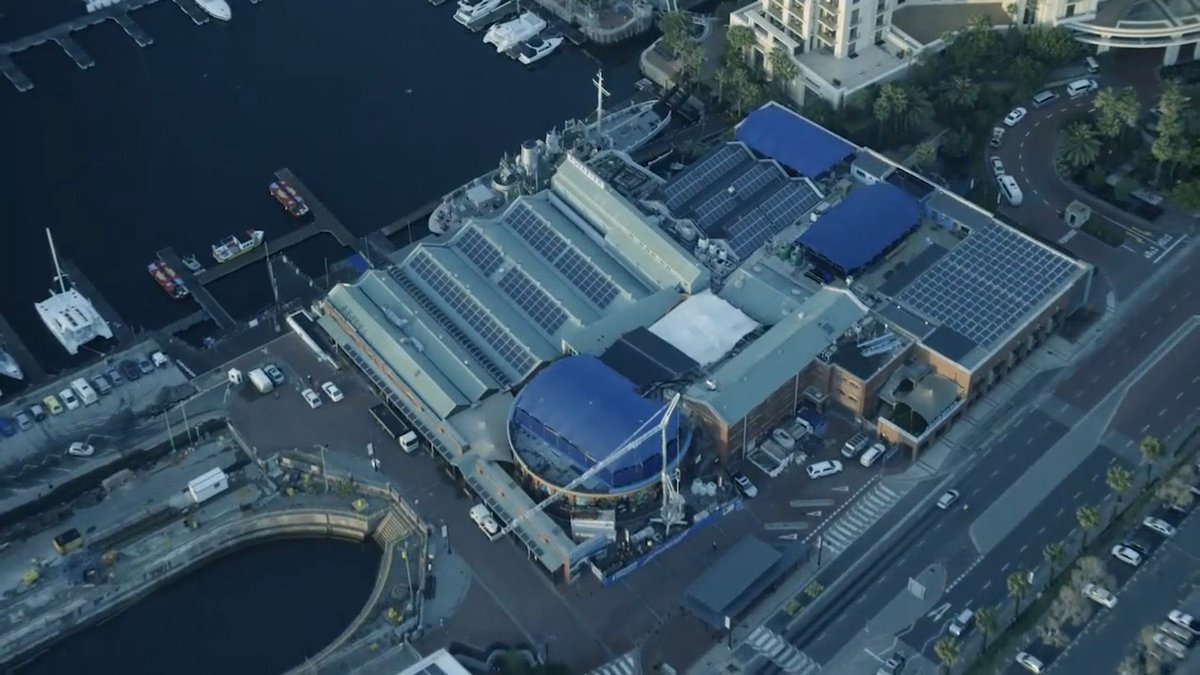 2OceansAquarium's tweet photo. The day has finally arrived! 

Tune in to #MNetWildOnes TODAY at 4pm on @MNet 101 to go behind the scenes of Cape Town's beloved aquarium (that's us 😎) #famous #capetown 

https://t.co/A4p504RHaI https://t.co/MjxQQVvb8s