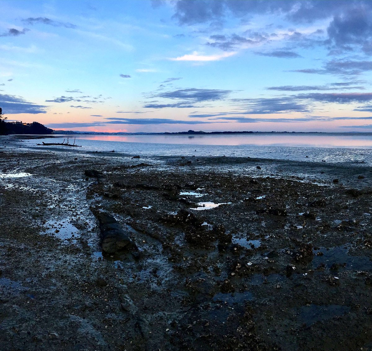 Photo du soir 📸 : un arrêt sur la plage de Greenbay, quand la mer de Tasman s'endort...

#greenbay #aucklandcity #plage #merdetasman #bleu #rose #silence #newzealand #pvt #pvtistes