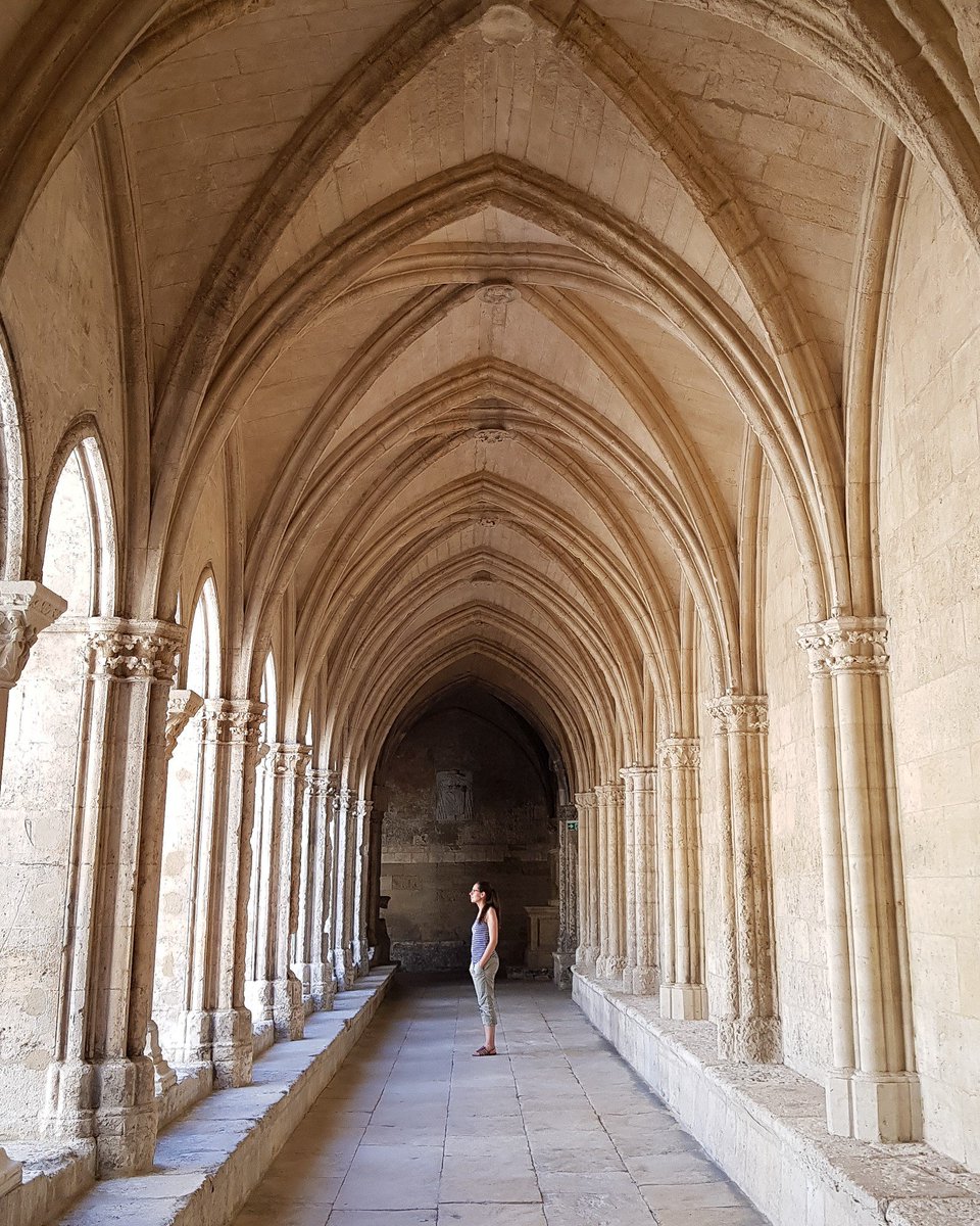 MelleBonPlan's tweet photo. Première fois à #Arles ce week-end  et je suis sous le charme de cette magnifique cité aux petites ruelles et riche en monuments historiques  😍 vous connaissez cette ville ?
#voyage #paca #bouchesdurhone #cloitre https://t.co/XuzIp8MCzx