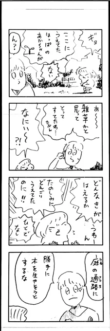 こももまんが355 