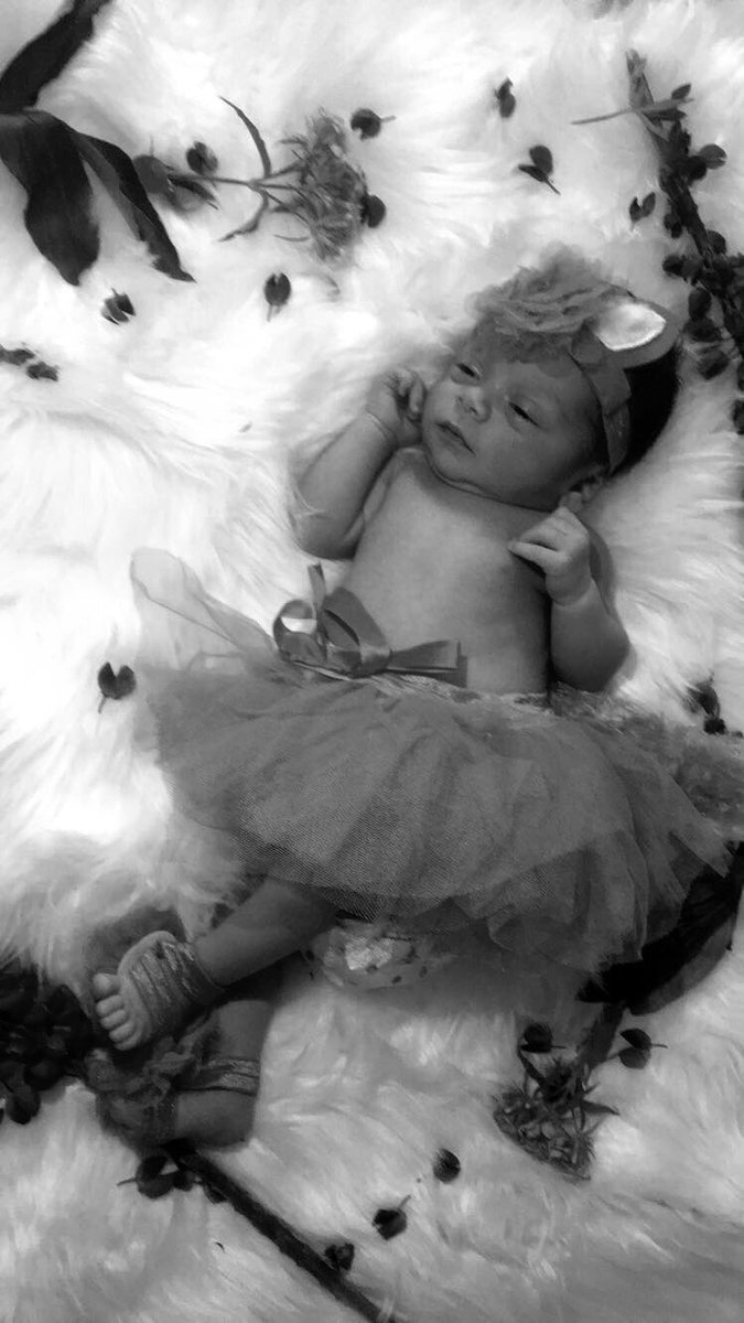 jaquy065's tweet photo. Had a mini photo shoot of my little one🌸✨ #emmabella🦄 https://t.co/uP9Xszsfq5