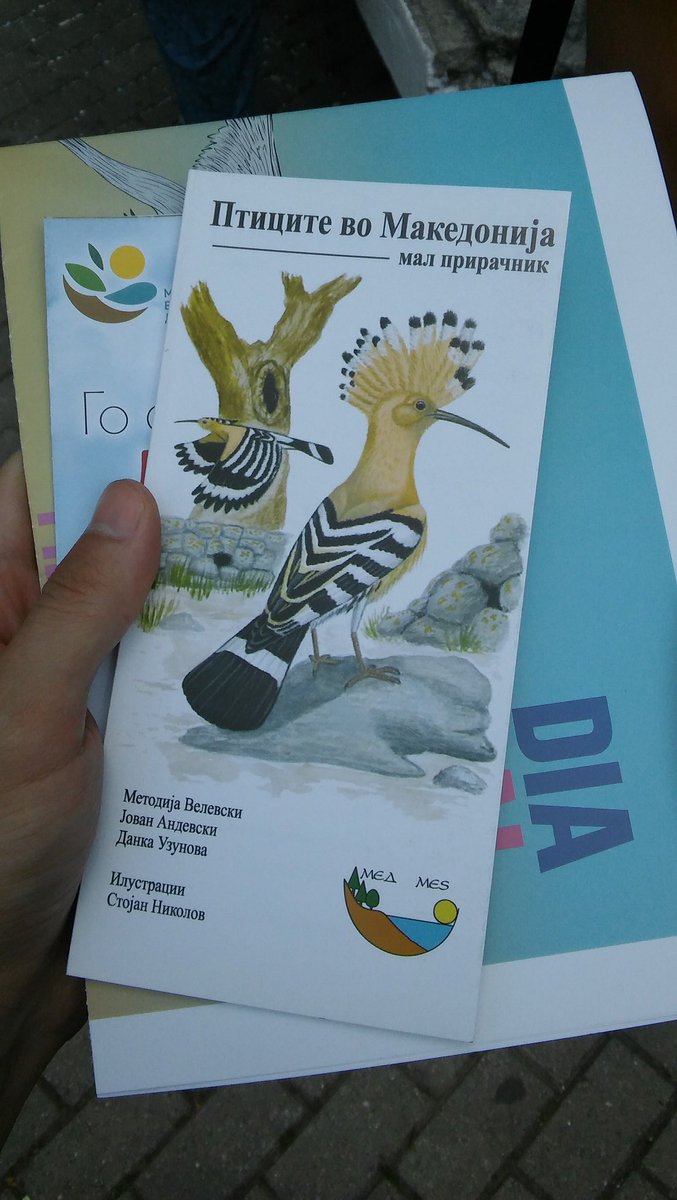 Median Human ⏹️ tweet media