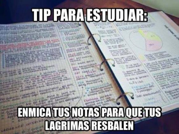 Diverint's tweet photo. Memes graciosos de famosos: Buen tip para estudiar → https://t.co/VeJXVUToqp

#MemesDeRisaParaElChatDeFacebook #MemesDeRisaParaWhatsapp #MemesEsEspañol #MemesGraciososEnEspañol2016 #MundoMemesEnEspañol https://t.co/GpT5zzc6Q6
