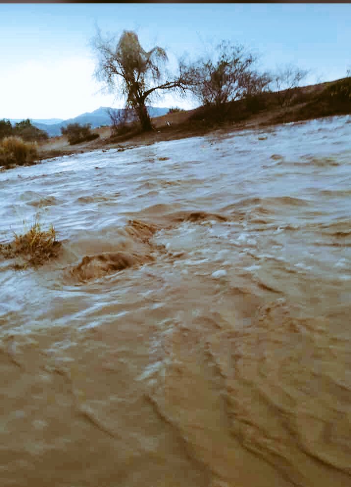 ابوريان (@a_shami20015) on Twitter photo 