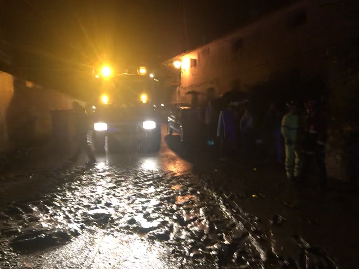 Jose Ramón Carrasco tweet media