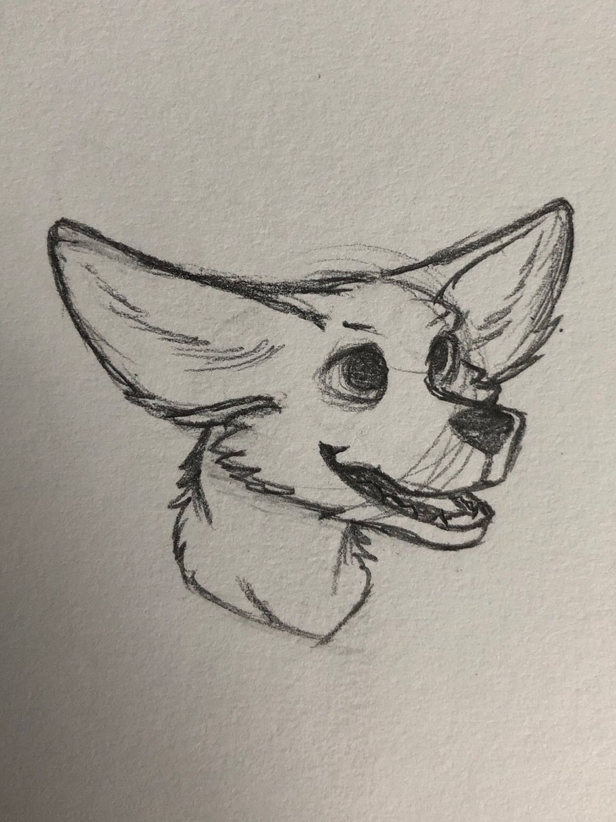 _SlyTheFox_'s tweet photo. I tried to make a foxxo. But the snoot ended up being a bit too much like a wolf  ¯\_(ツ)_/¯ https://t.co/QUPpvpdmyX