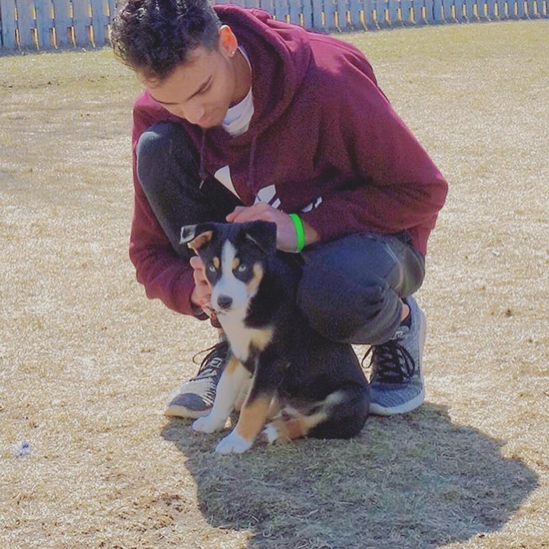 MadisonLYMCrew's tweet photo. We had a great time working with @WishIllinois to help make Tate’s wish of having a husky puppy come true! Check out some of the fun moments captured from this experience 🐾❣️ https://t.co/K11ztCWskc