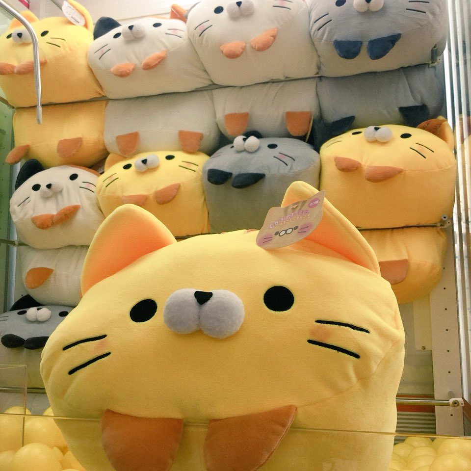 新品未開封　もちふわころころにゃんこ　ぬいぐるみ　６点セット　猫　動物　2 もちふわころころにゃんこ