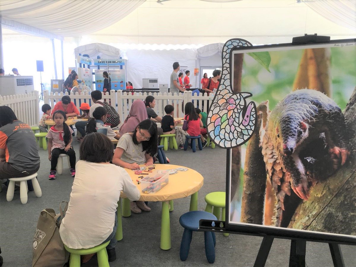 nparksbuzz's tweet photo. Visit the Festival of Biodiversity today! Learn about how the community is working to conserve our biodiversity, and how you too can contribute. Visit the various booths and workshops and pick up one of the adorable animal crowns along the way! https://t.co/DWebvEitWH https://t.co/G18sWjipgQ