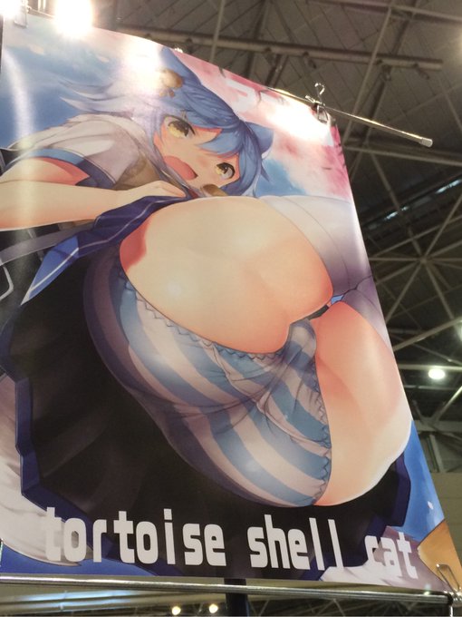 そういえば設営完了してました  ブッキーのケツが目印 