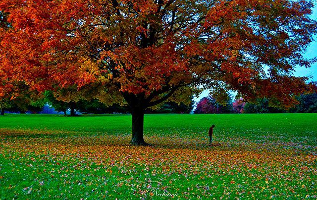 influensternk1's tweet photo. Fall #fall, #fall๐, #fall๐๐, #fallcolors, #fallcolors2017. #fallcolors๐๐, #fallcolors2016. #outomn, #colorsplash_kings https://t.co/Nqjab9semm https://t.co/4blyGz9CHB