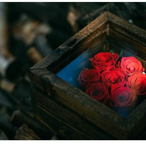 @gaiarosesyyc first giveaway contest before their launch. Beautiful handmade boxes with preserved roses. Lets show them some love for the great work!! Just repost photo with hashtag #gaiaroses and tag 3 friends to enter! ift.tt/2Li8s9U