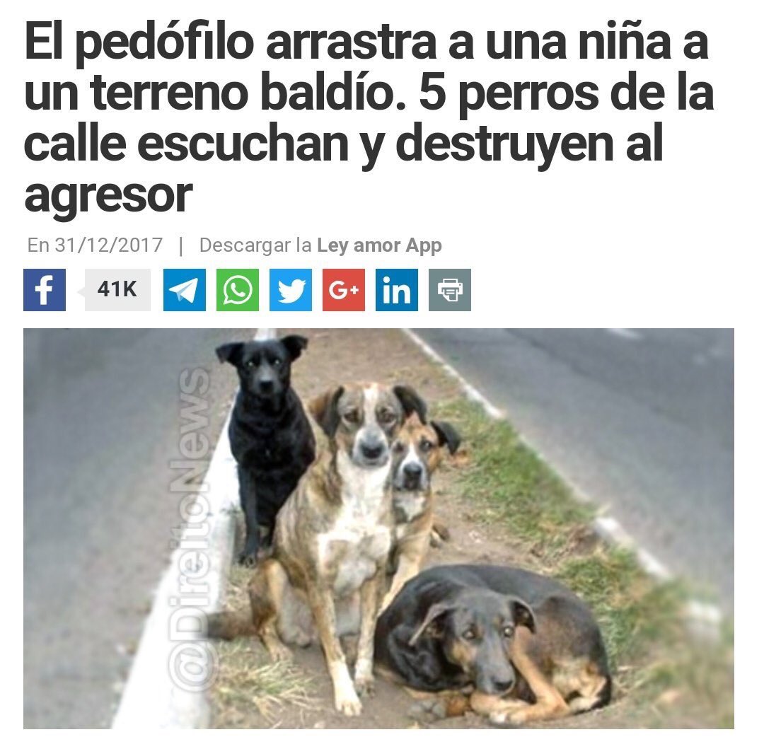 gabtechera17's tweet photo. son mejores que nosotros https://t.co/WNj6gM1c5Y