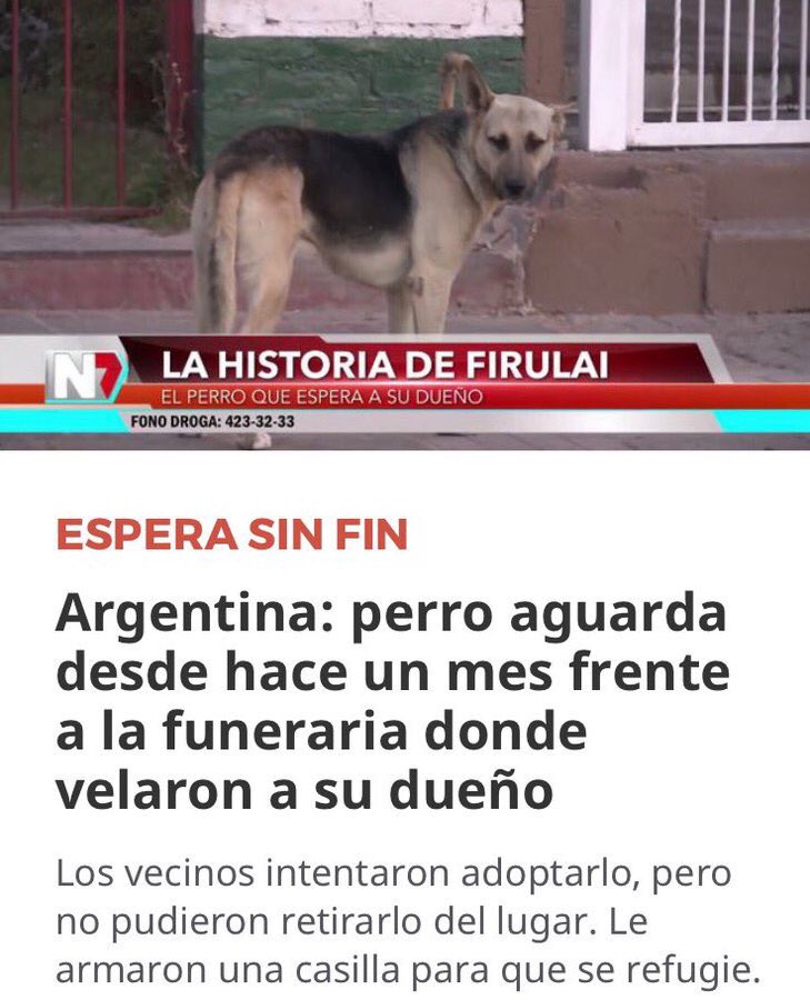 gabtechera17's tweet photo. son mejores que nosotros https://t.co/WNj6gM1c5Y
