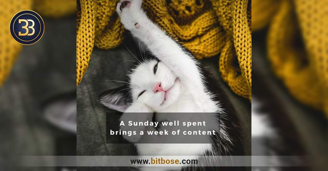 Bitbosecoin's tweet photo. A Sunday well spent brings a week of content.
Invest your time, don't just spend it.
BuY Bose Token
https://t.co/H4KsWCf60L
#sundayshoppingday #SundayFlows #sundayinthecountry #crypto #CryptoExperts #cryptomarket #cryptocurrencynews #cryptotrade #cryptolife #bosetoken #bitbose https://t.co/JT49shjXiq