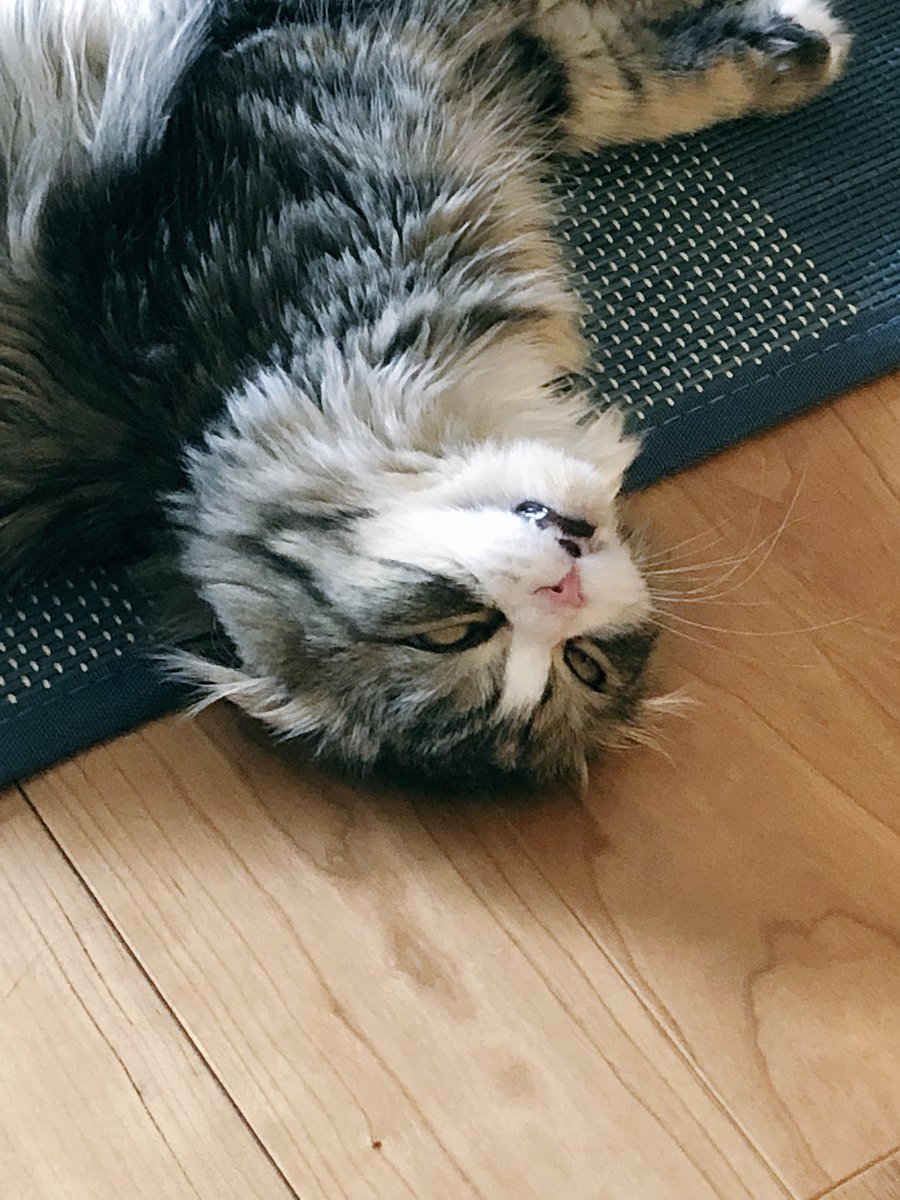 うわ…      寝てんのか…こわ… 