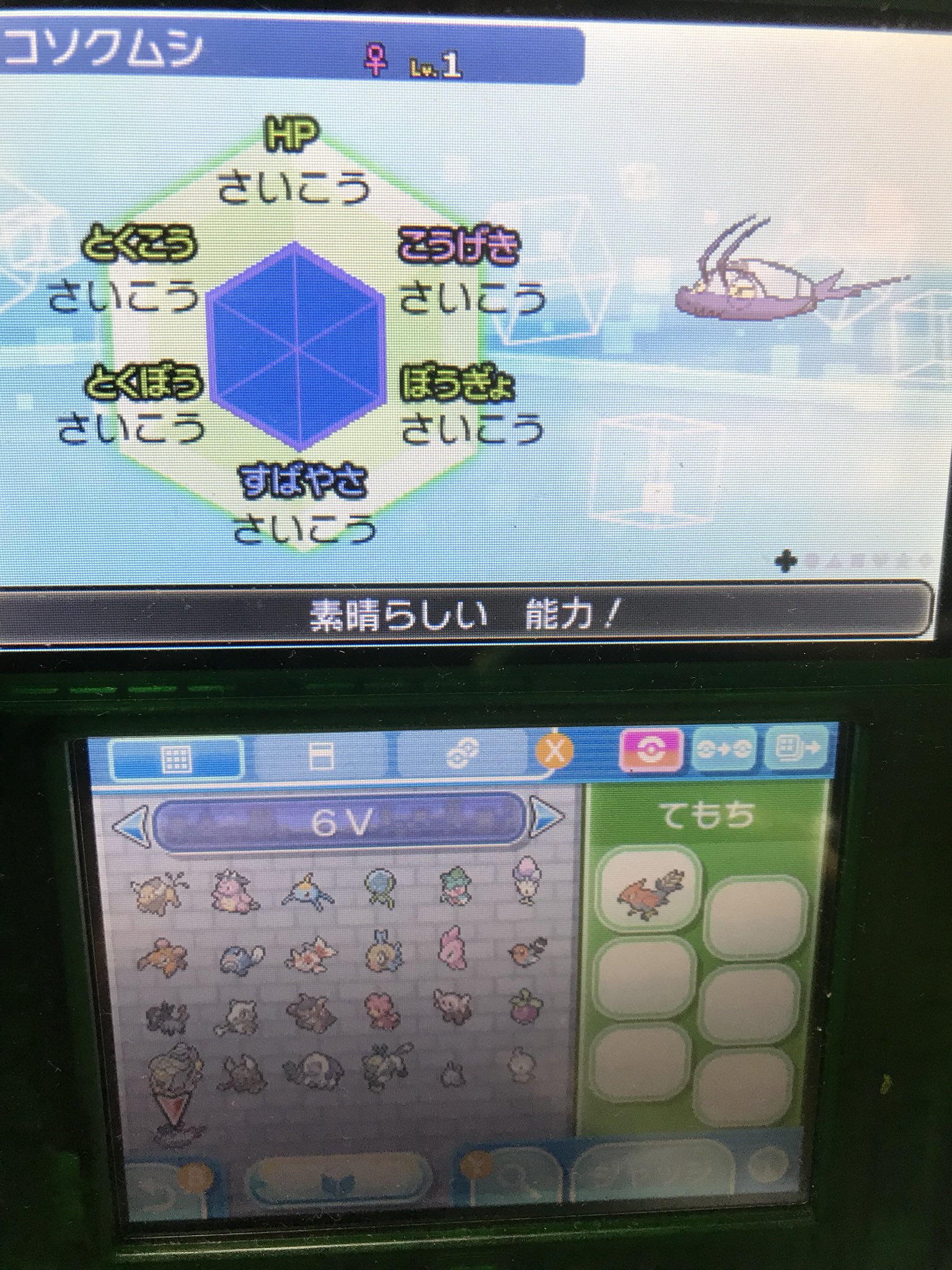 ポケモン6v記録 Twitter