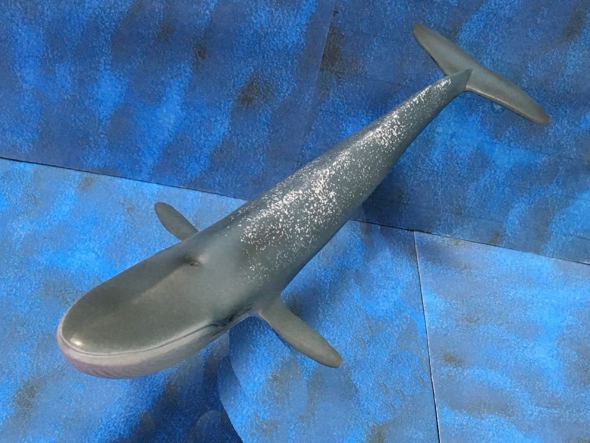 タカ Kom En Twitter シュライヒのシロナガスクジラは全長27cmでなかなかのサイズ感 青味の濃いとグレーっぽいの２種類ある シロナガスクジラ シュライヒ Bluewhale Schleich