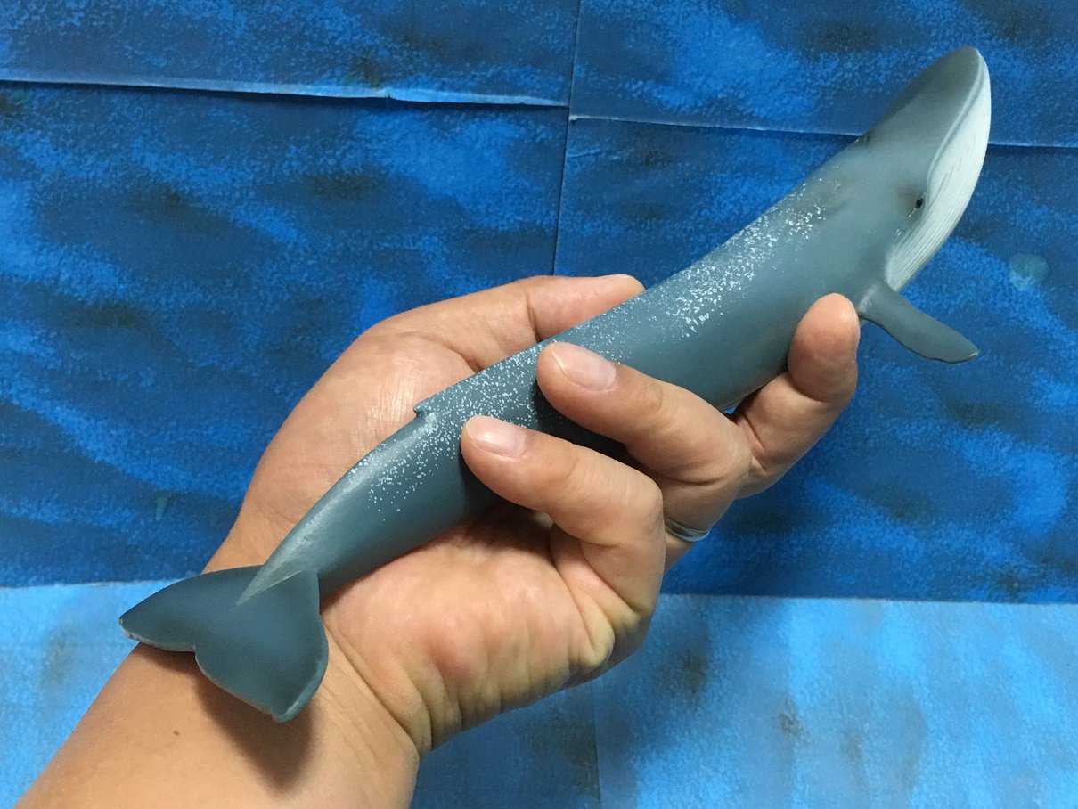 タカ Kom En Twitter シュライヒのシロナガスクジラは全長27cmでなかなかのサイズ感 青味の濃いとグレーっぽいの２種類ある シロナガスクジラ シュライヒ Bluewhale Schleich T Co Qd15wflfta Twitter