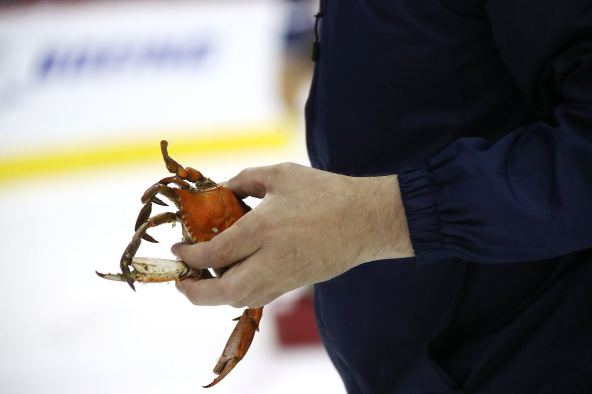 Capitals's tweet photo. Who threw a 🦀? #ALLCAPS #StanleyCup https://t.co/9hYuSG8uZk