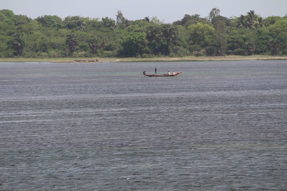 saswat28's tweet photo. 1st pic : Chilika (May-2017)
2nd pic: Chilika (May-2018)
'Nilambu' Chilika with no "gheris". Awesome effort by @susantananda3 and Team.
#TrainJourney #ViewFromTrain https://t.co/iiDVY6mgWu