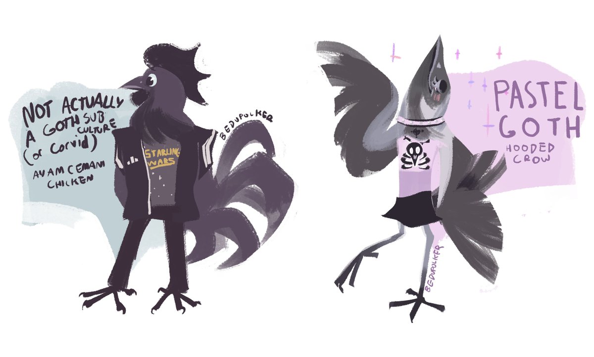 bedupolker's tweet photo. How to tell people/birds who wear all black apart https://t.co/NVF1elHG0Z