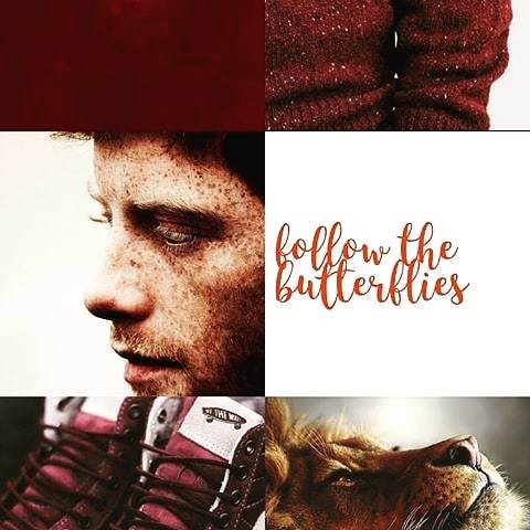 CLCannonAuthor's tweet photo. My love for Ron Weasley will never be extinguished. Who is your favorite literary redhead?
#weasleyismyking #freckles #bestfriend #theheart #goldentrio #redhead #ronweasley #ronaldbilliusweasley #romione #rupertgrint #keeper #redhairandfreckles #handme… https://t.co/Tv0La1hBPk https://t.co/EKffKt9gJl