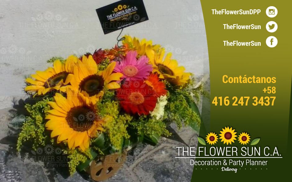 TheFlowerSun's tweet photo. #Carreta #CarretadeGerberas #Gerberas #Exclusividad #ArreglosFlorales #Palma #ArreglosFrutales #Flores #FloresExóticas #Rosas #Ramos #Frutas #Orquideas #Girasoles #TheFlowerSun #PartyPlanner #Contacto #Contactanos https://t.co/IQM2MaQSPG