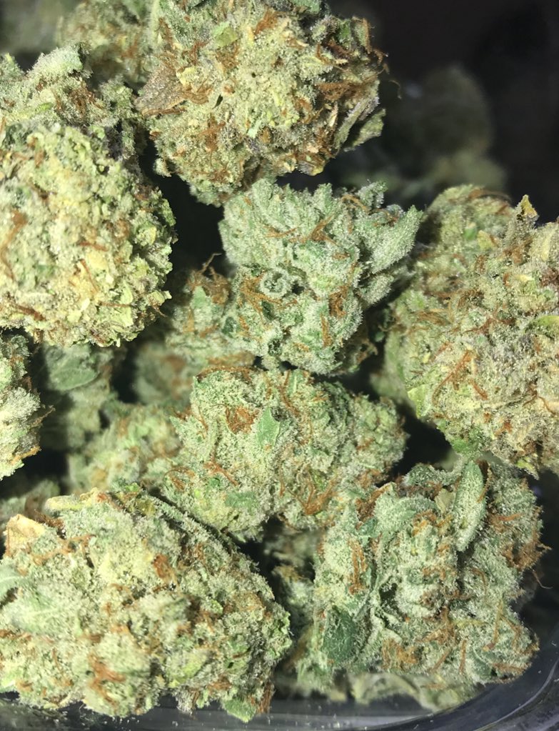 CCCPacoima's tweet photo. #CCCPacoima #GhostOG #Indica #Dank https://t.co/myVJ9SrA8d